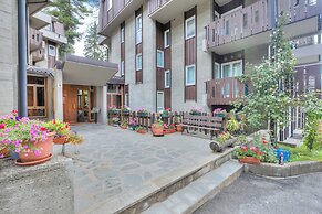 Comfort Tra Fiume E Pini