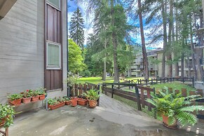 Comfort Tra Fiume E Pini