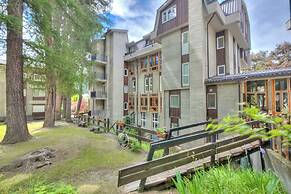 Comfort Tra Fiume E Pini