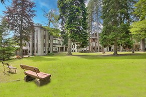 Comfort Tra Fiume E Pini