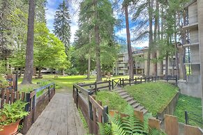 Comfort Tra Fiume E Pini