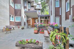 Comfort Tra Fiume E Pini