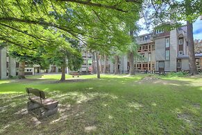 Comfort Tra Fiume E Pini