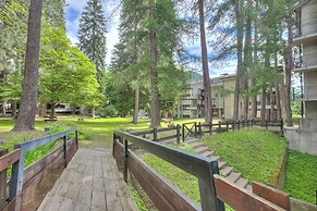 Comfort Tra Fiume E Pini