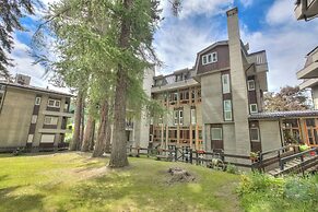 Comfort Tra Fiume E Pini