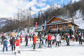 Comfort Tra Fiume E Pini