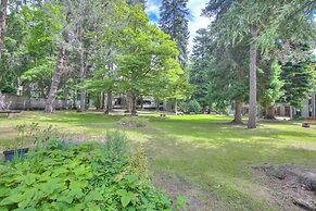 Comfort Tra Fiume E Pini