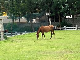 Satya Anantham Eco Retreat Mystic Hotels