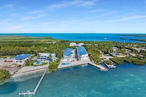 Islamorada Home, Ocean Views, Playroom, Near Tiki Bar, Pool, And Boat 