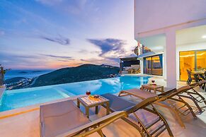 Lux Villa With Jacuzzi Inf Pool - All Rooms w AC