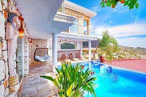 Lux Villa With Inf Pool Jacuzzi - All Rooms w AC