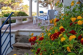 Sardinia Re - Shuluq 6