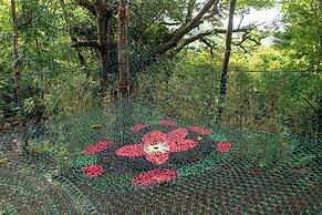 Casas Clusia Monteverde