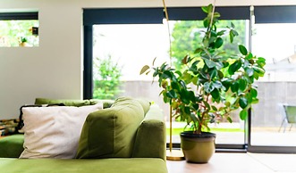 Lecropt House Pet Friendly Stays Inverurie Aberdeenshire