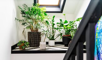 Lecropt House Pet Friendly Stays Inverurie Aberdeenshire