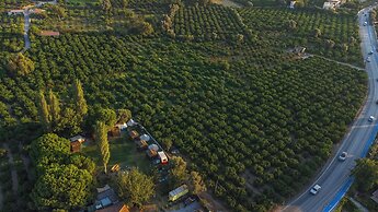 Mona Glamping Caravan Suites