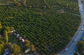 Mona Glamping Caravan Suites