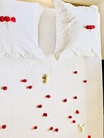 Appartement Luxe 9 mn Roissy CDG