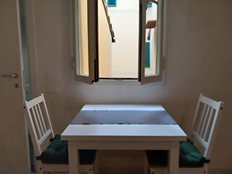 Pinzochere 16 N in Firenze