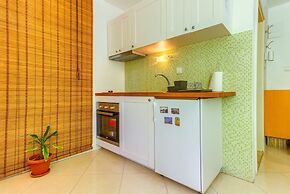 Apartments Filipovic with garden