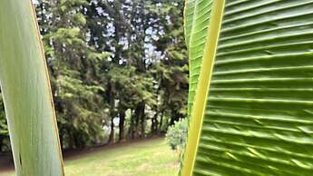 Autenthico Sajonia Hotel Aeropuerto