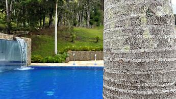 Autenthico Sajonia Hotel Aeropuerto