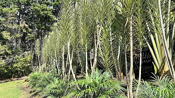 Autenthico Sajonia Hotel Aeropuerto