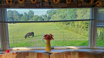 Equestrian Retreat - Sleeps 6 & Bbq