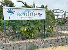 ECOLIFE TENERIFE HOUSES