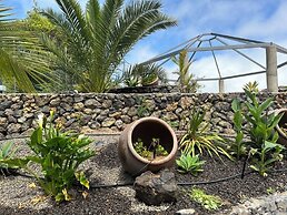 ECOLIFE TENERIFE HOUSES