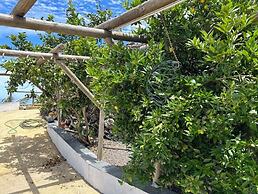 ECOLIFE TENERIFE HOUSES