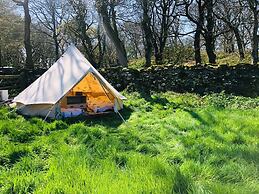 Bell Tent , Carreglwyd Estate, Anglesey