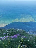 Elm - Bell Tent, Anglesey, North Wales