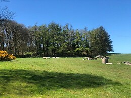 Elm - Bell Tent, Anglesey, North Wales