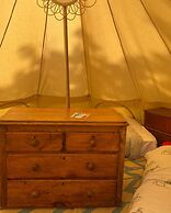 Elm - Bell Tent, Anglesey, North Wales