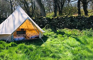 Elm - Bell Tent, Anglesey, North Wales