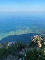 Elm - Bell Tent, Anglesey, North Wales