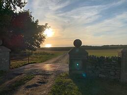 Elm - Bell Tent, Anglesey, North Wales