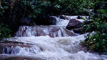 Devigiri Home Stay and Resort