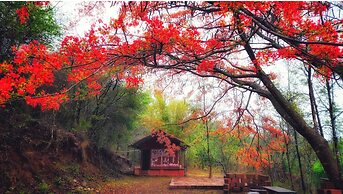 Devigiri Home Stay and Resort