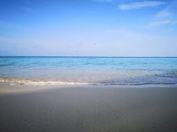 String Wave Maldives