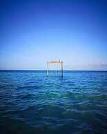 String Wave Maldives