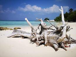 String Wave Maldives