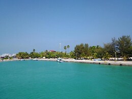 String Wave Maldives