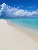 String Wave Maldives