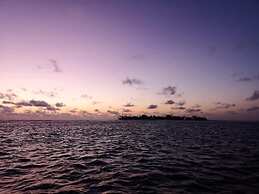 String Wave Maldives