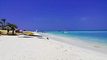 String Wave Maldives