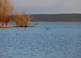 Ferienhaus Kiebitz, Plau am See