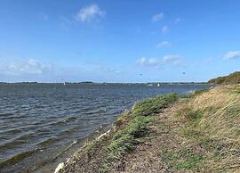 Ferienwohnung Grosser Seestern in Wiek