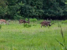 Beautiful Bungalow With Garden